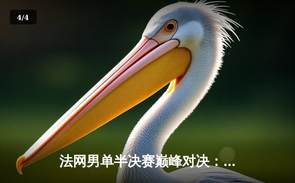 法网男单半决赛巅峰对决：德约科维奇鏖战五盘险胜阿尔卡拉斯晋级决赛 - 4